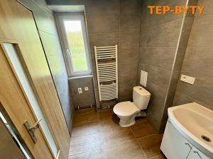 Pronájem bytu 2+1, Teplice, Svojsíkova, 55 m2