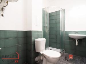 Prodej bytu 1+kk, Ostrava - Přívoz, Palackého, 25 m2