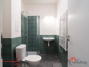 Pronájem bytu 1+kk, Ostrava - Přívoz, Palackého, 25 m2