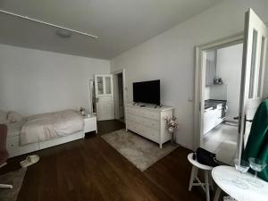 Pronájem bytu 1+kk, Praha - Vinohrady, Korunní, 39 m2