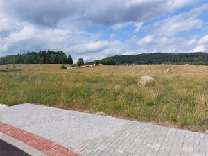 Prodej pozemku pro bydlení, Merklín, 2476 m2