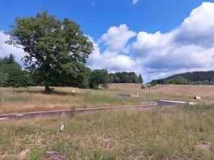 Prodej pozemku pro bydlení, Merklín, 2476 m2