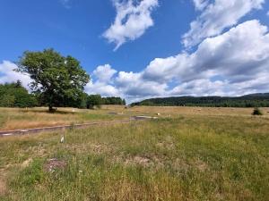 Prodej pozemku pro bydlení, Merklín, 2476 m2