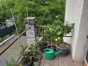 Prodej obchodního prostoru, Praha - Hostivař, Herbenova, 360 m2
