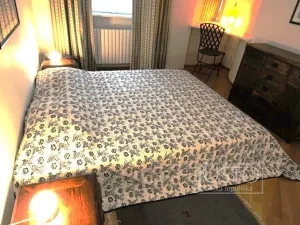 Pronájem bytu 3+1, Praha - Nové Město, Na Zderaze, 80 m2