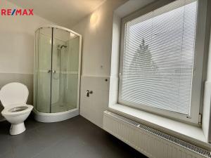 Pronájem bytu 1+1, Bílovec, 17. listopadu, 36 m2