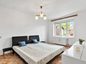 Prodej rodinného domu, Libáň, Komenského, 310 m2