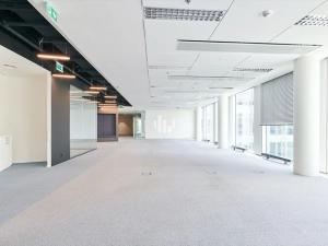 Pronájem kanceláře, Praha - Holešovice, Plynární, 547 m2