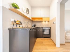 Prodej bytu 1+kk, Praha - Žižkov, Milíčova, 33 m2