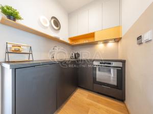 Prodej bytu 1+kk, Praha - Žižkov, Milíčova, 33 m2