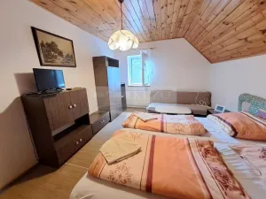 Prodej vícegeneračního domu, Zbytiny - Blažejovice, 453 m2