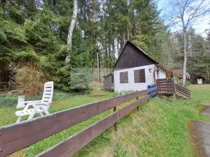 Prodej vícegeneračního domu, Zbytiny - Blažejovice, 453 m2