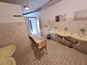 Prodej vícegeneračního domu, Zbytiny - Blažejovice, 453 m2