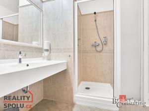 Prodej ubytování, Karlovy Vary - Bohatice, U Trati, 480 m2