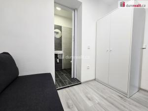 Pronájem bytu 1+kk, Lužná, Nová, 17 m2