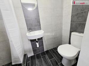Pronájem bytu 1+kk, Lužná, Nová, 17 m2