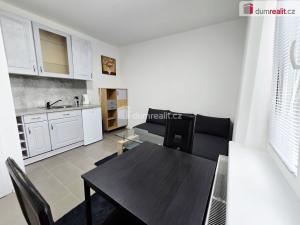 Pronájem bytu 1+kk, Lužná, Nová, 17 m2