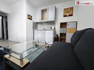 Pronájem bytu 1+kk, Lužná, Nová, 17 m2