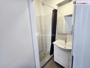 Pronájem bytu 1+kk, Lužná, Nová, 17 m2
