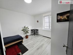 Pronájem bytu 1+kk, Lužná, Nová, 17 m2