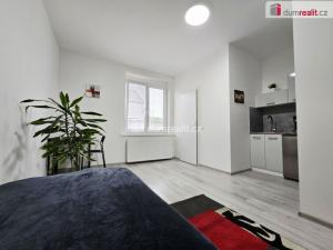 Pronájem bytu 1+kk, Lužná, Nová, 17 m2