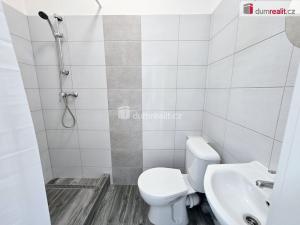 Pronájem bytu 1+kk, Lužná, Nová, 17 m2