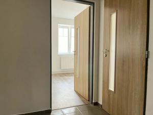Pronájem bytu 1+kk, Dolní Poustevna, Vilémovská, 44 m2