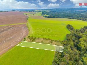 Prodej louky, Spálené Poříčí - Struhaře, 4161 m2