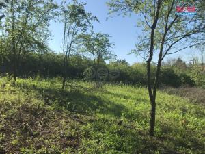 Prodej zahrady, Postoloprty - Mradice, 394 m2
