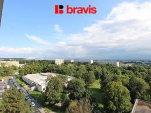 Pronájem bytu 1+1, Brno, Loosova, 40 m2