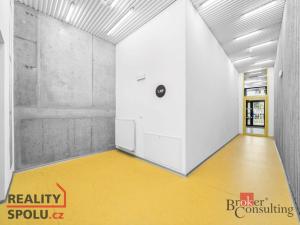 Pronájem bytu 4+kk, Plzeň, U Borského parku, 118 m2