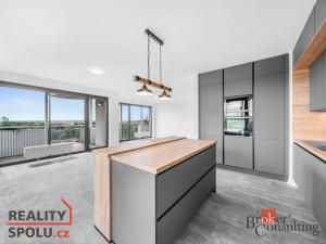 Pronájem bytu 4+kk, Plzeň, U Borského parku, 118 m2