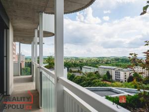Pronájem bytu 4+kk, Plzeň, U Borského parku, 118 m2