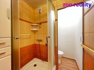 Pronájem bytu 1+1, Chomutov, Hornická, 36 m2