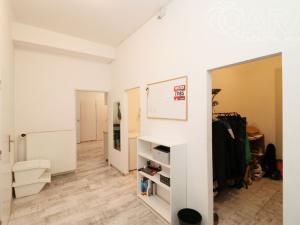 Pronájem bytu 4+kk, Praha - Nové Město, Krakovská, 122 m2