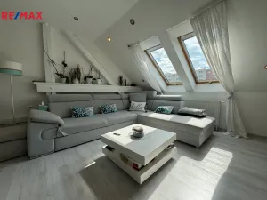 Prodej ubytování, Olomouc - Nové Sady, Rooseveltova, 349 m2