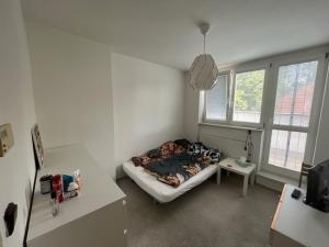Pronájem bytu 2+kk, Brno, Pellicova, 32 m2