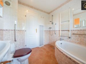 Prodej rodinného domu, Pchery, 5. května, 200 m2