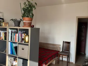 Pronájem bytu 4+kk, Praha - Holešovice, V háji, 110 m2