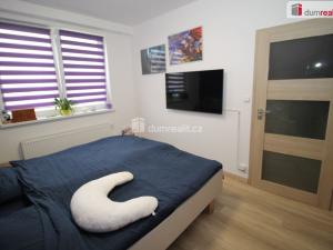Prodej bytu 3+kk, Skalná, Nová, 75 m2