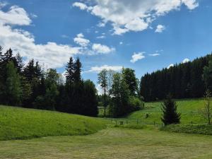 Prodej chalupy, Police nad Metují - Pěkov, 120 m2