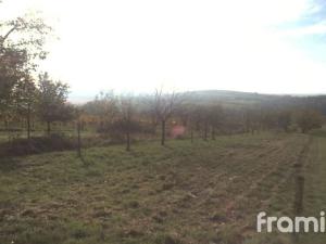 Prodej pozemku, Blatnice pod Svatým Antonínkem, 2450 m2