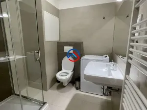 Pronájem bytu 1+kk, Olomouc, Janského, 33 m2