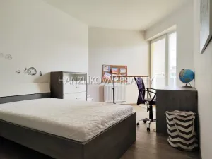 Pronájem bytu 3+kk, České Budějovice, Volejbalistů, 99 m2