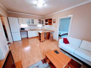 Pronájem bytu 2+kk, Ústí nad Labem - Klíše, Klíšská, 57 m2