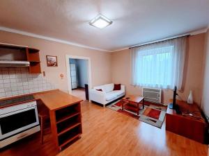 Pronájem bytu 2+kk, Ústí nad Labem - Klíše, Klíšská, 57 m2