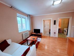 Pronájem bytu 2+kk, Ústí nad Labem - Klíše, Klíšská, 57 m2
