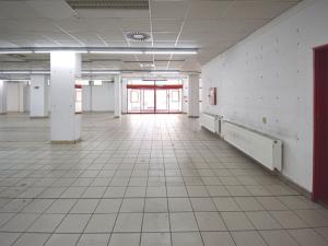 Pronájem obchodního prostoru, Plzeň - Lobzy, Sousedská, 1250 m2