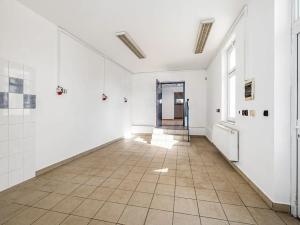 Prodej obchodního prostoru, České Budějovice, Opatovická, 250 m2