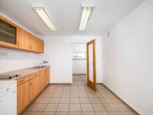 Prodej obchodního prostoru, České Budějovice, Opatovická, 250 m2